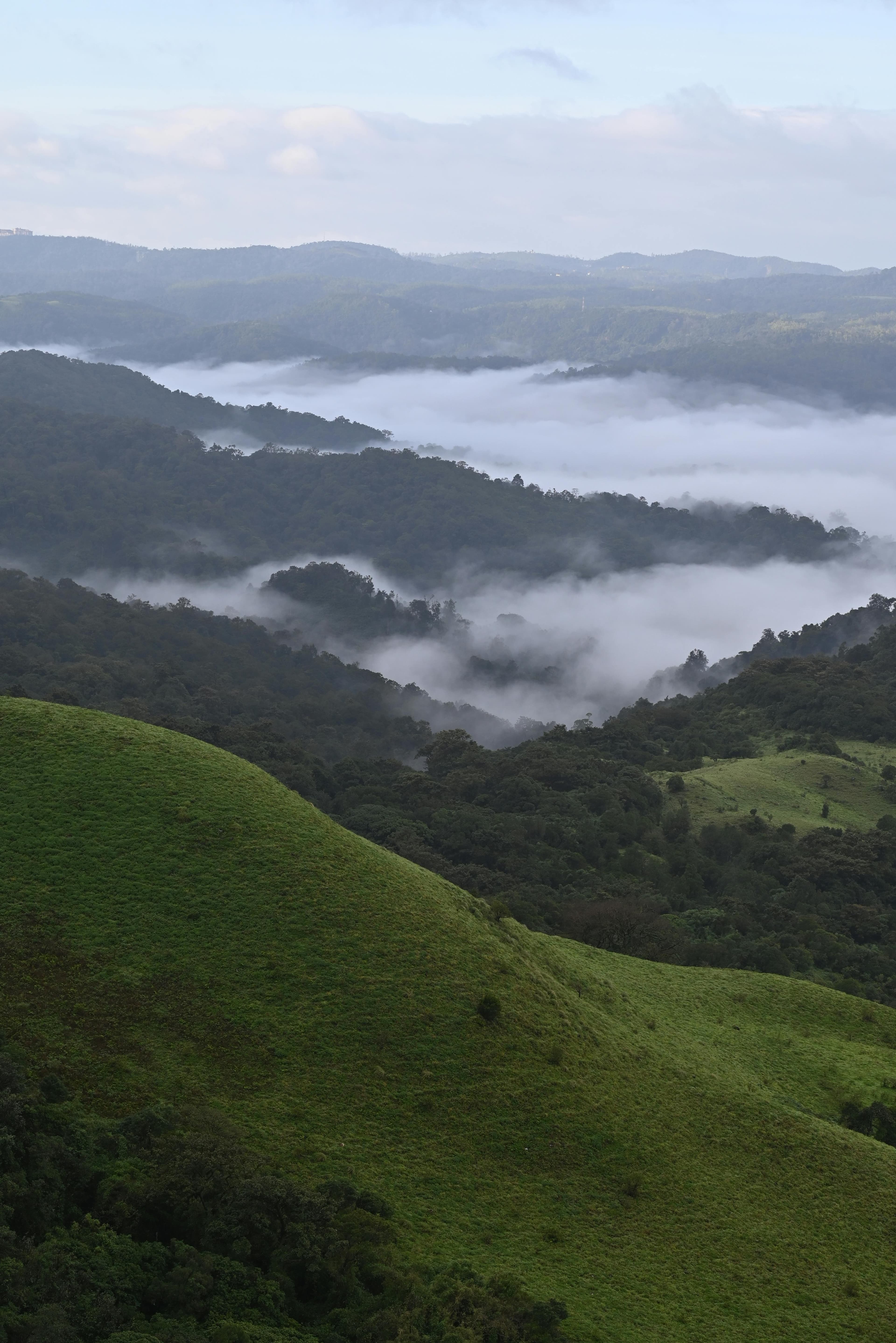 Coorg, India