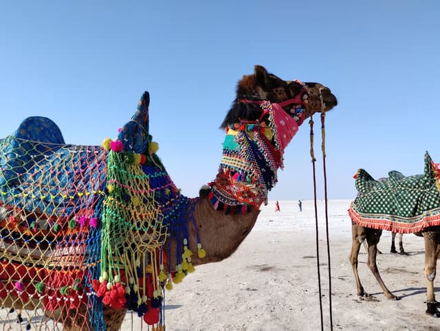 Kutch