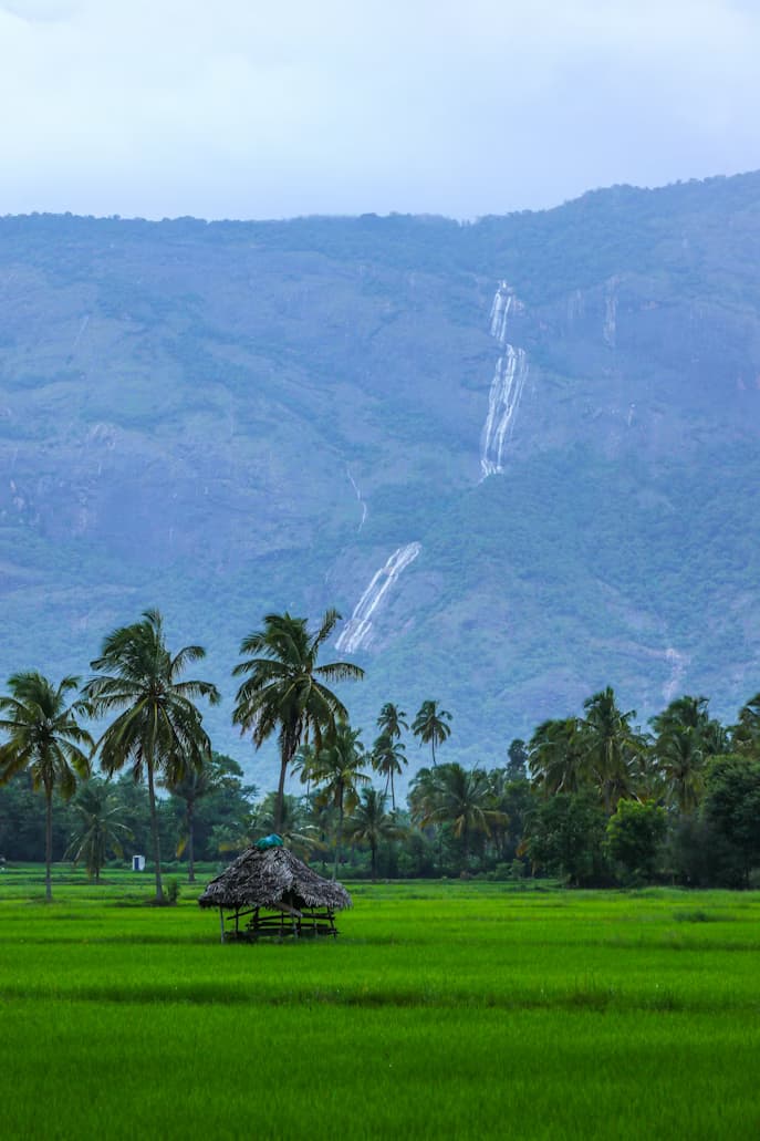 South India