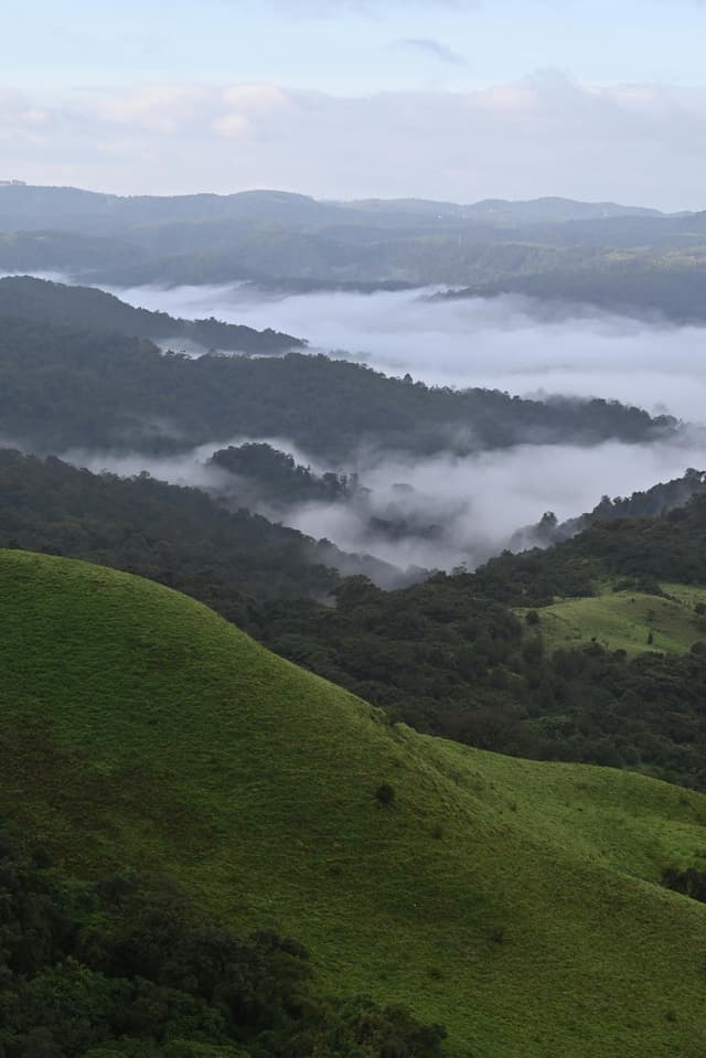 Coorg