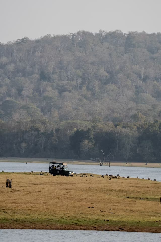 Kabini