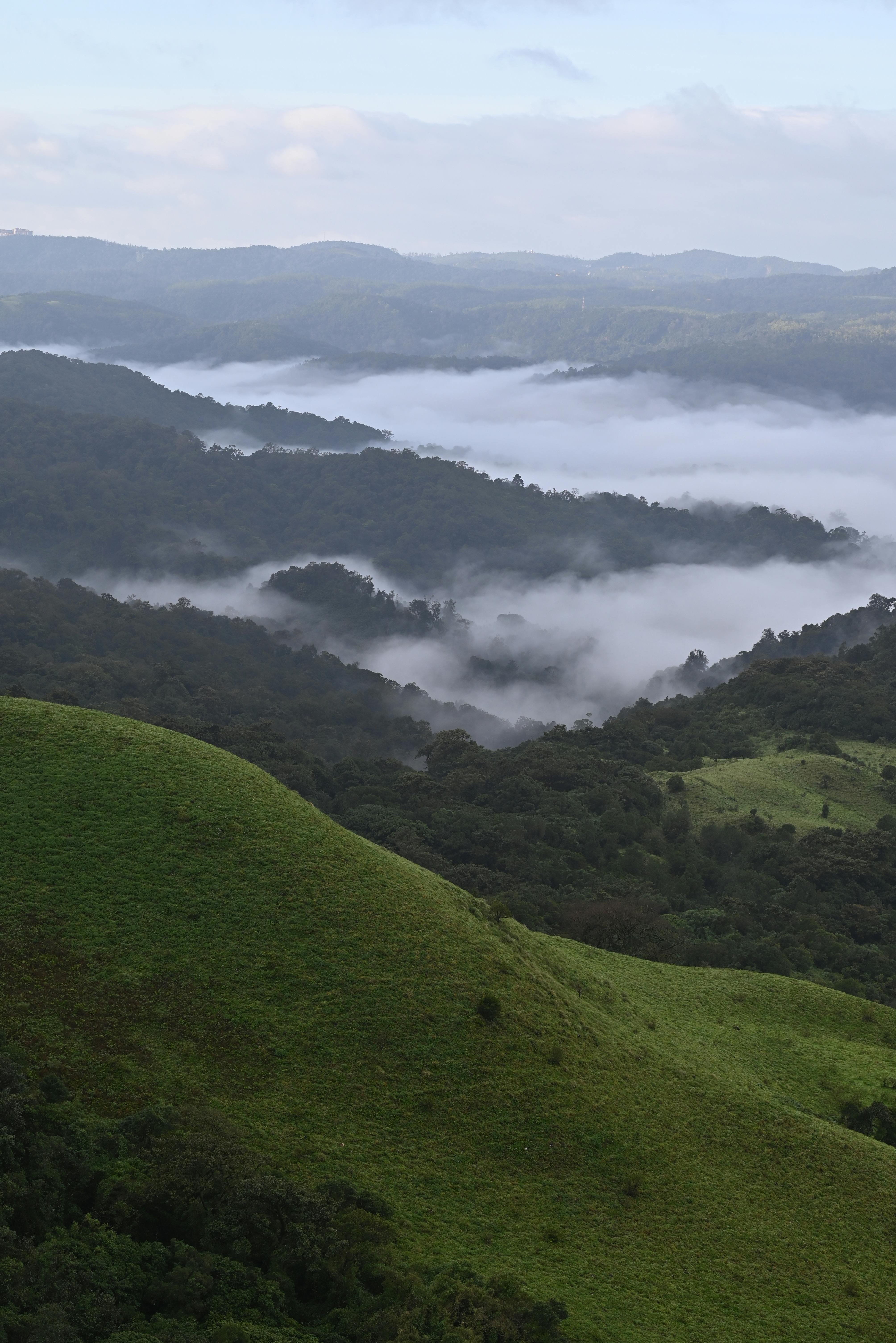 Coorg