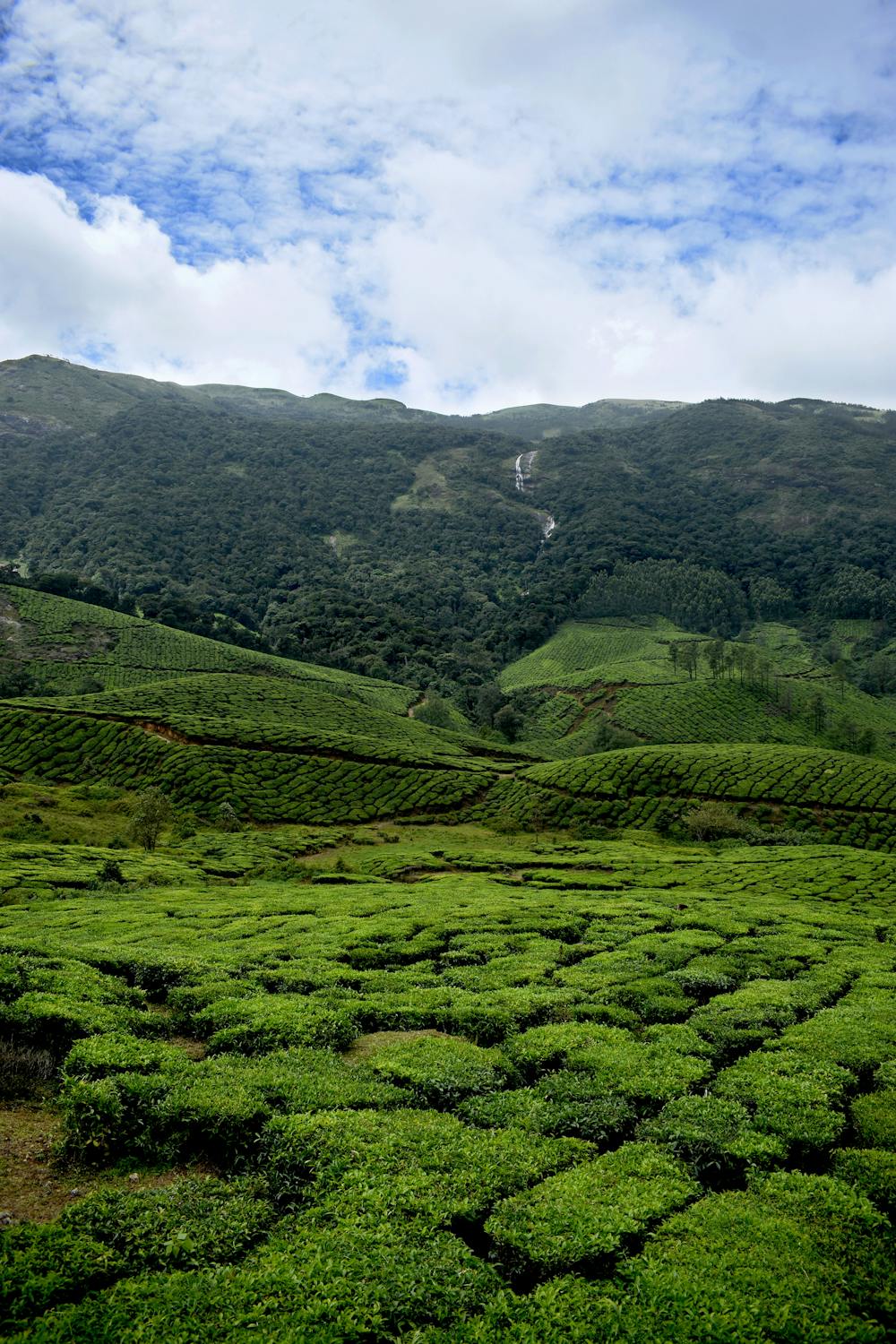 Munnar